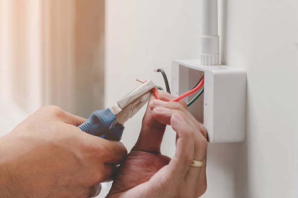 Best Electrical Panel Upgrades  in Jamesburg, NJ